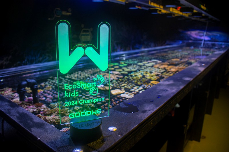 GoodWe GBR Legacy 2024 EcoSmart Kids_7 low.jpg